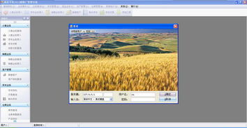 面業(yè)專(zhuān)家面粉廠(chǎng)管理系統(tǒng)V2012官方綠色版 實(shí)現(xiàn)高效生產(chǎn)與外圍設(shè)備智能管理